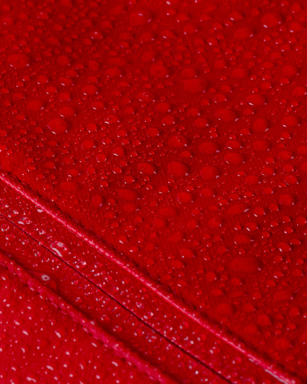 Cascade Backpack - Standard