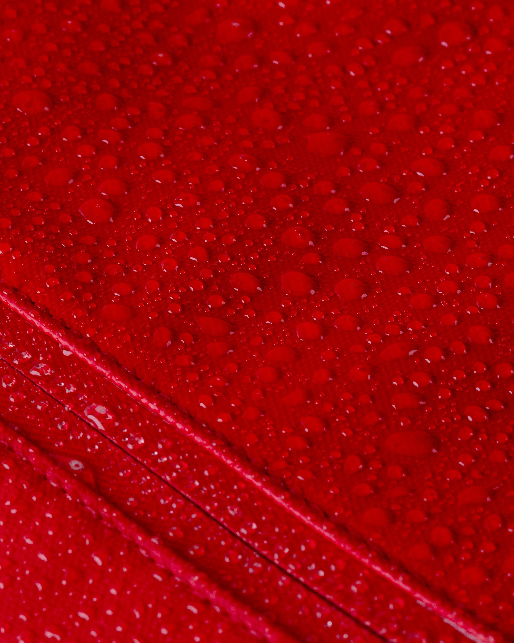 Cascade Backpack - Standard