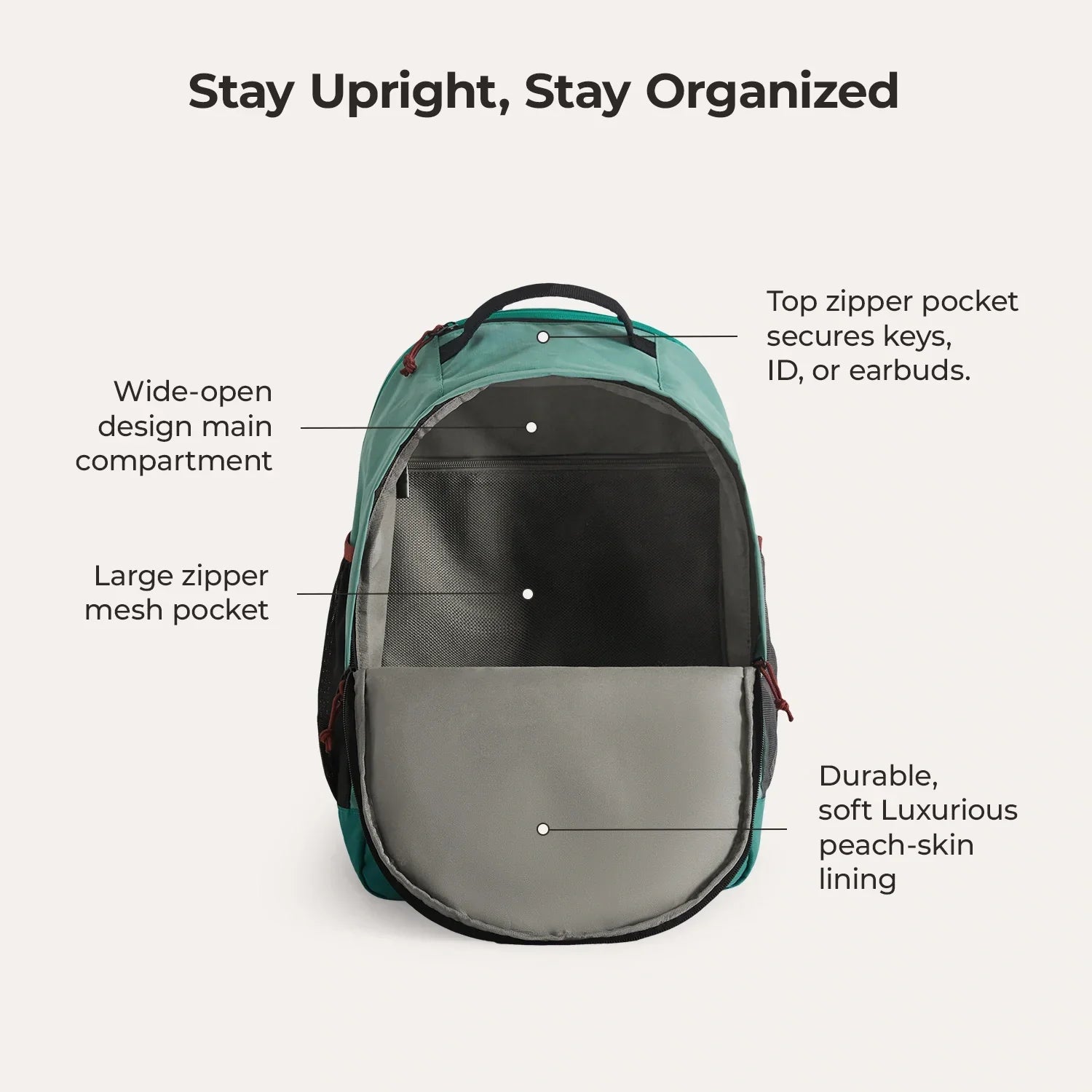 Focus 15.6" Laptop Backpack